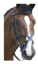 Bling Grackle Bridle