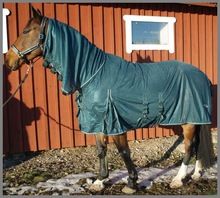 Cotton Horse Fly Sheet