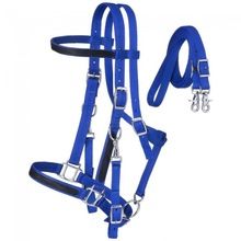 Nylon Halters Bridle