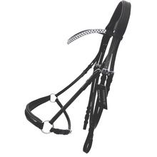 Plaited leather bridle