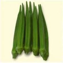 Green Okra