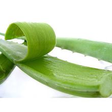 organic aloe vera gel