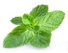 Peppermint Oil