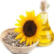 Sunflower Oil