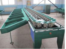 Feeding Onion Grading Machine