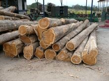 ROYAL TEAK Wood