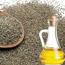 Organic Ajwain Seed Oil