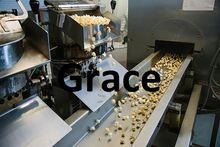 Automatic mushroom popcorn caramel coating machine