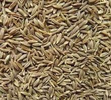 Cumin Seed