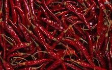 red dry chilly