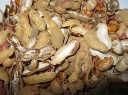 Groundnut Husk