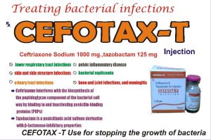 Cefotax -T