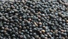 Black Pepper whole