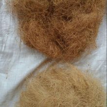 Coconut Fiber