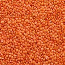 Masoor Dal