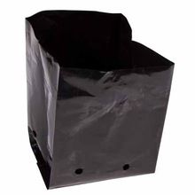 Nursery Poly Grow Bags