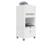 Laboratory Fume Hood