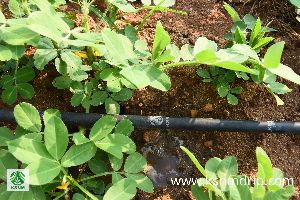 Drip irrigation tube