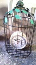 Metal wall clock with bird cage