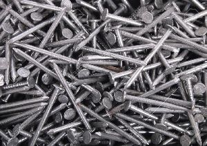 Stainless Steel Wire Nails