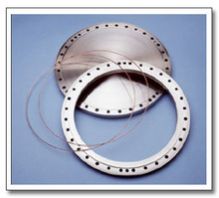 Hastelloy Flanges