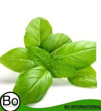 Basil Organic Essential Oil