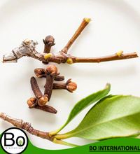 Clove Bud Organic Essential Oil