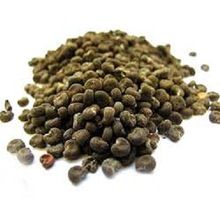 Essential Ambrette Seed Oil