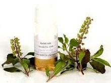 Holy Basil Oil