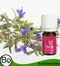 Hyssop Organic Essential Oil