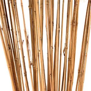 Bamboo Stick