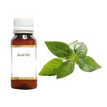 Organic Basil Oil