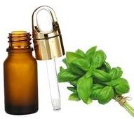 Cold Pressed Natural and Pure Basil Oil