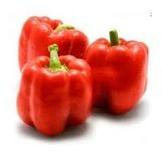 Fresh Capsicum Dry Extract Powder