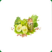 Grape Seed Essential Oil