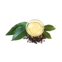 High Quality Bay Laurel Leaf Essential Oil