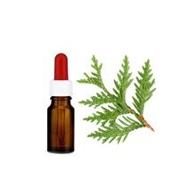 Hinoki Cypress Essential Oil