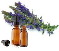 Hyssop Essential Oil Pure and Natural