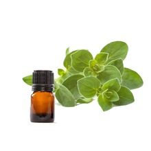 Oregano Oil Pure and Natural