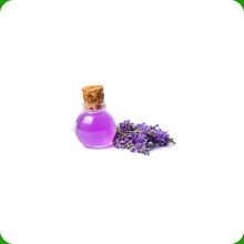 Organic Essential Lavender Oil