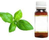 Pure and Natural Basil Oil