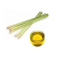 Pure and Natural Citronella Essential Oil