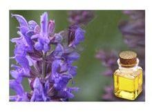 Pure and Natural Hyssop Essential Oil