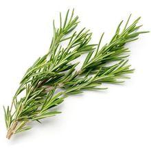 Essential Rosemary Oil