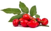 rosehip oil