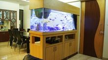 acrylic aquarium