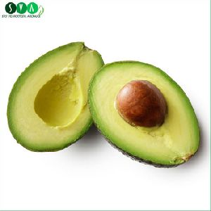 Avocado Carrier Oil