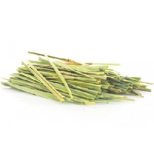 Citronella Essential Oil