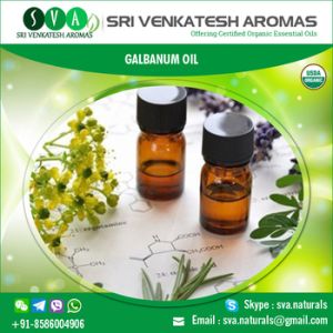 Galbanum Essential Oil