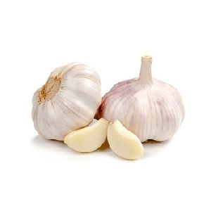 Garlic Essential Oil